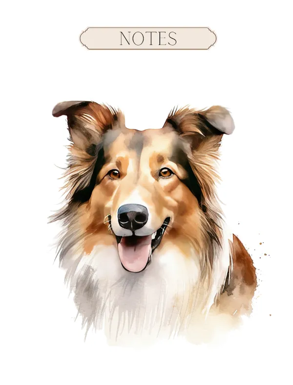 Collie Notebook